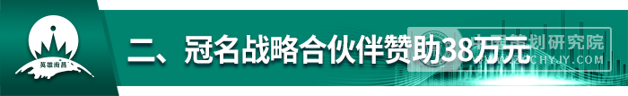 二、冠名战略合伙伴赞助38万元.png